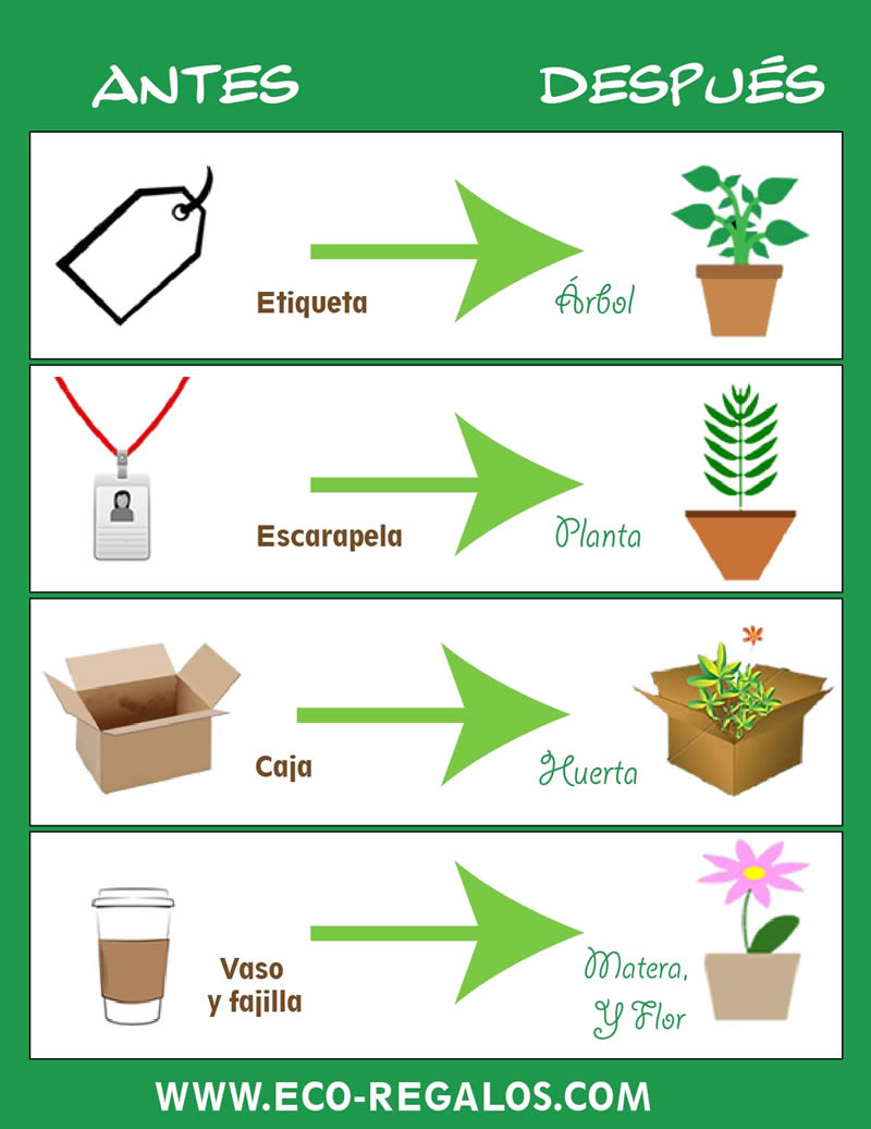 Empaques Ecológicos Germinables