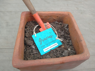 Etiqueta germinable