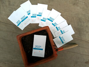 Calendario plantable con semillas